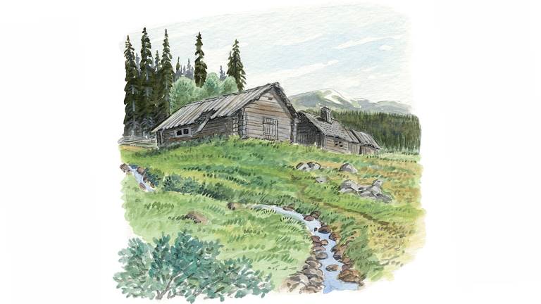 Nybygge. Illustration Martin Holmer.
