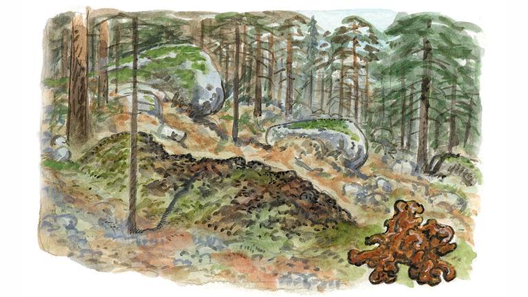 Lågteknisk järnframställning. Illustration Martin Holmer.