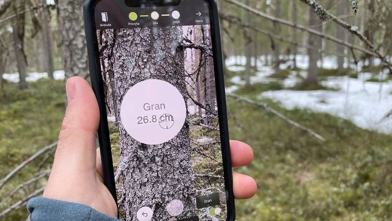 App-Arboreal_1200x675px.jpg