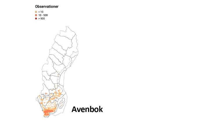 Artfakta-avenbok_1200x675px.jpg