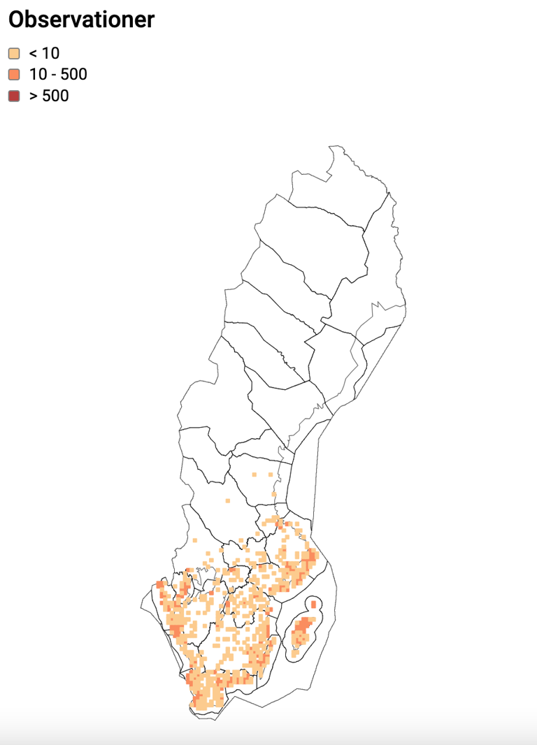 Skärmavbild 2024-03-22 kl. 10.49.13.png